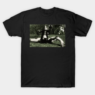 The Last Stand T-Shirt